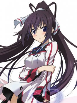 IS (Infinite Stratos) 2