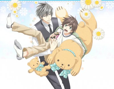 Junjou Romantica 3