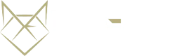 Dream Figures Logo